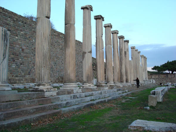 EPHESUS - PAMUKKALE - PERGAMUM BY PLANE